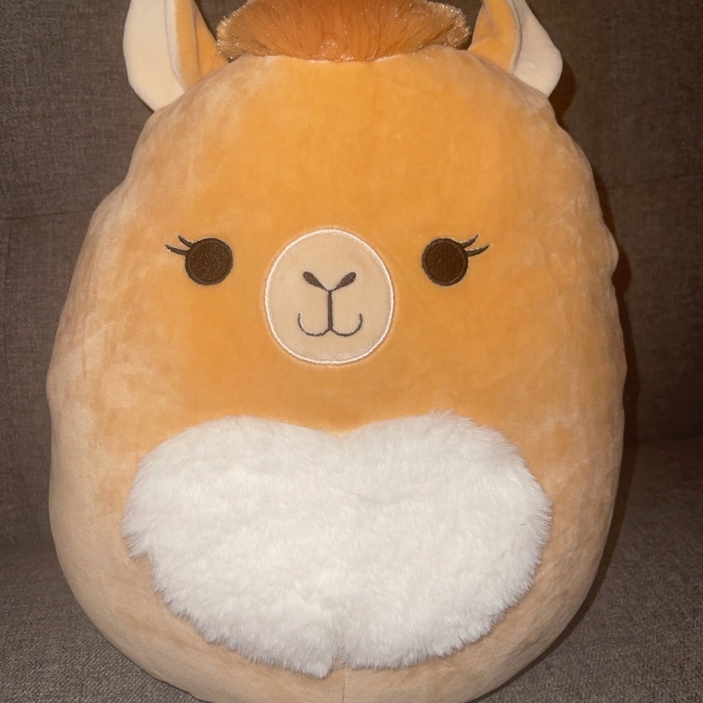 Squishmallow 12” rashida